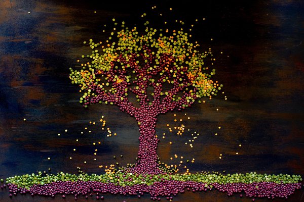 Comment créer une cloison végétale pour diviser une pièce de façon naturelle ?